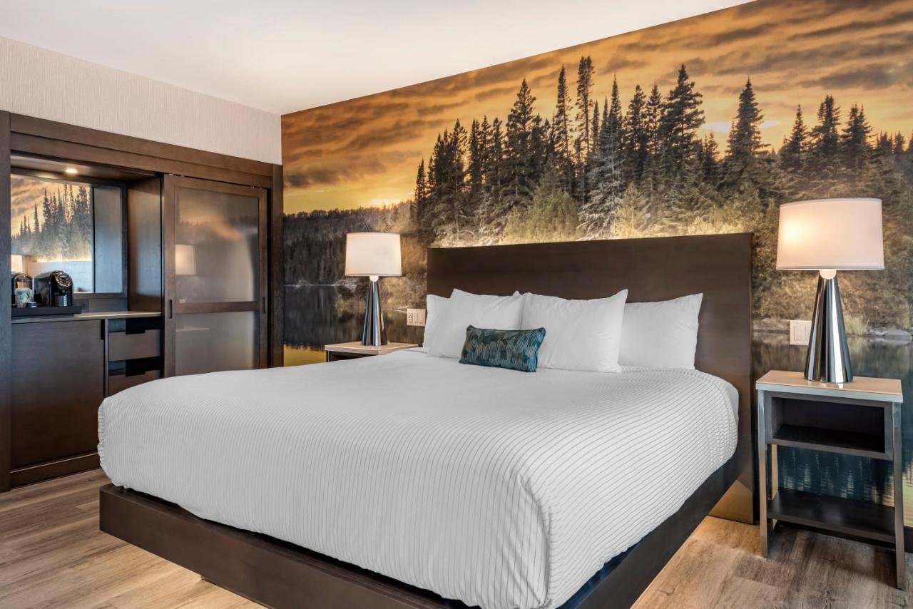 Cambria Hotel Shelby Township - Detroit Utica Shelby Twp Kültér fotó