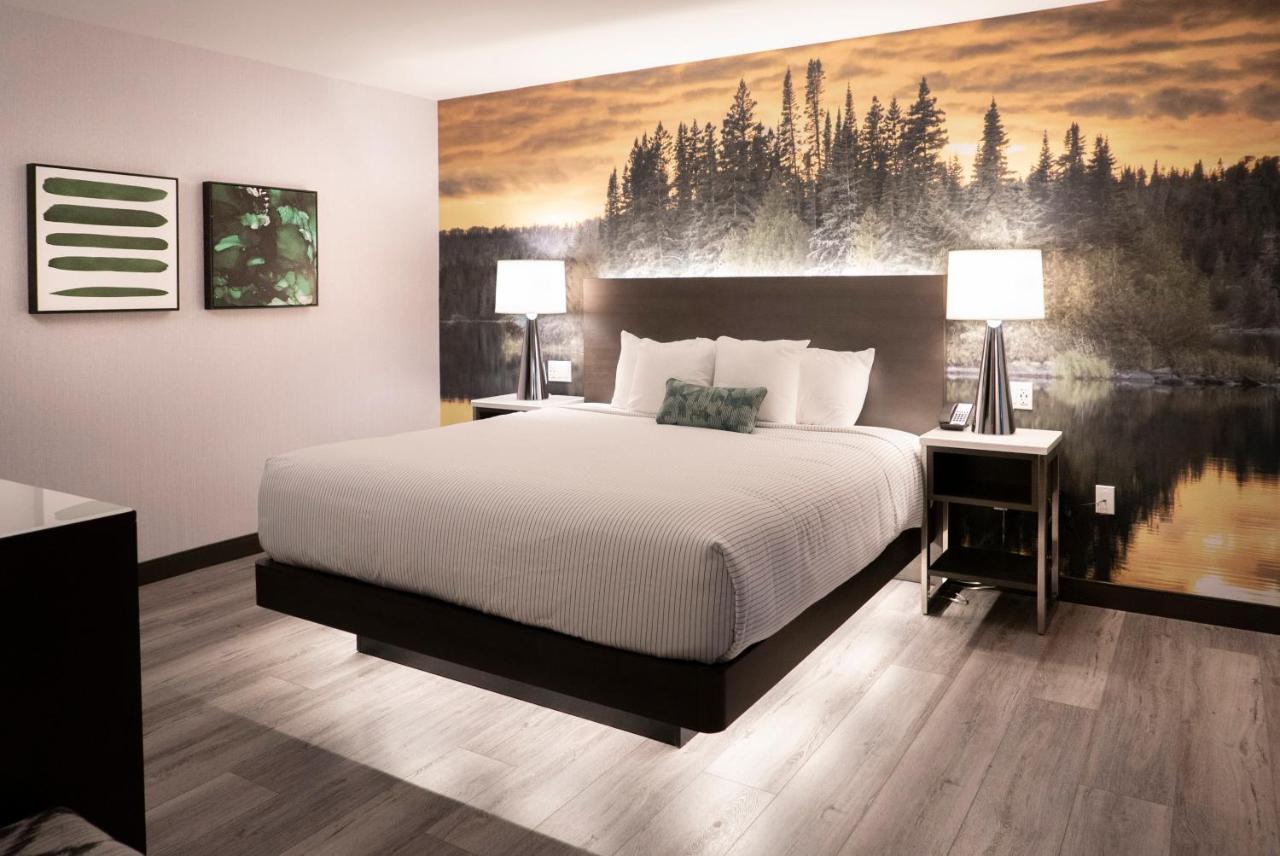 Cambria Hotel Shelby Township - Detroit Utica Shelby Twp Kültér fotó