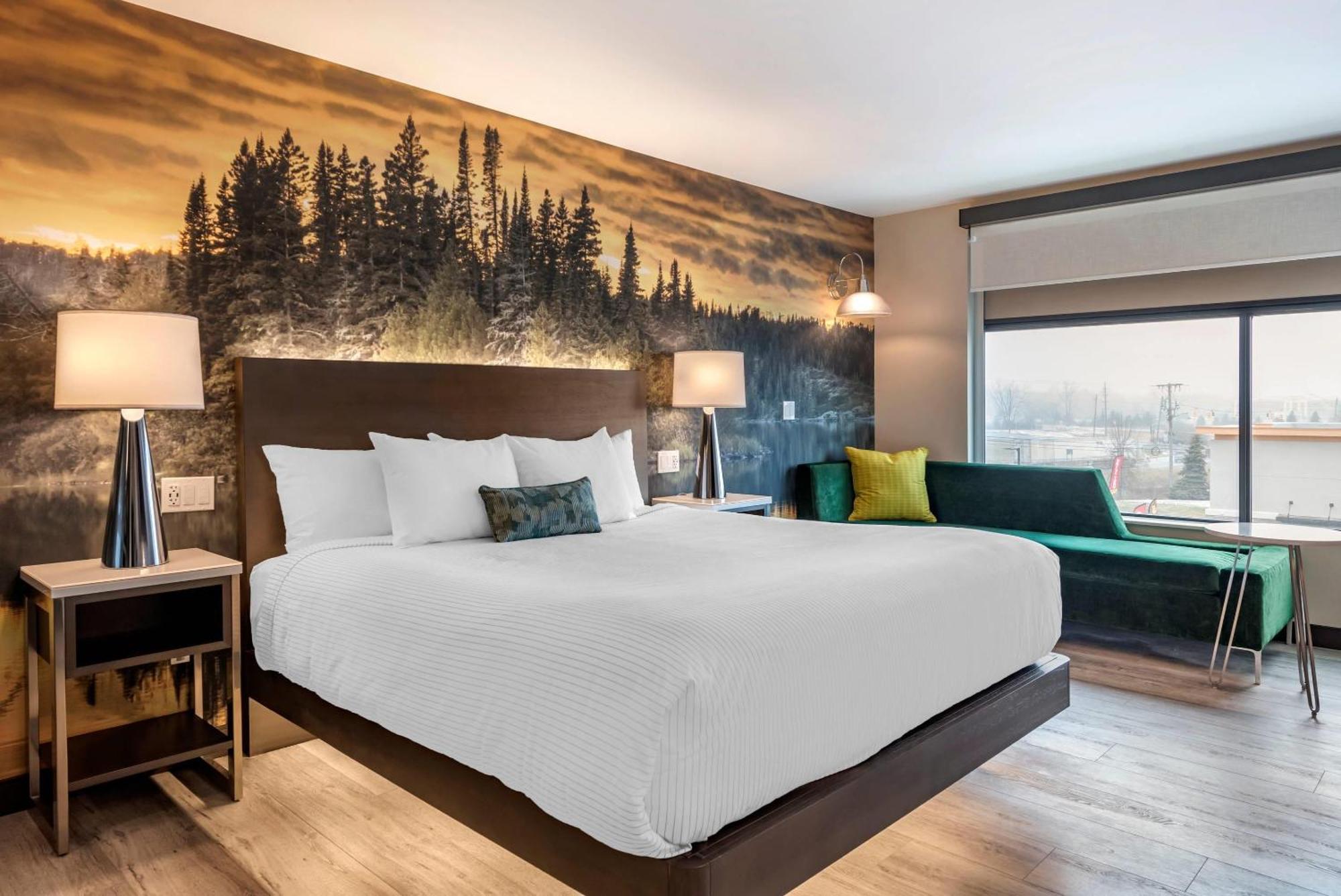 Cambria Hotel Shelby Township - Detroit Utica Shelby Twp Kültér fotó